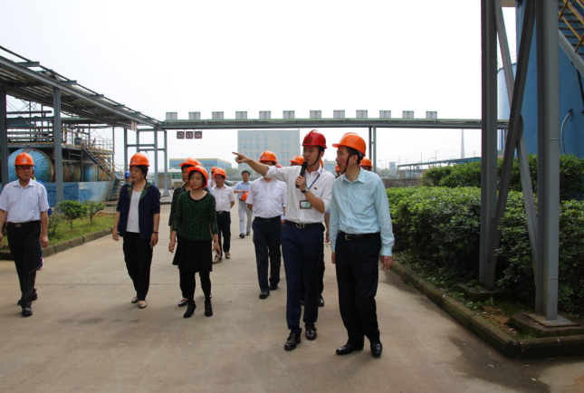 �ʼ�Royal88��(����)- ������¼���